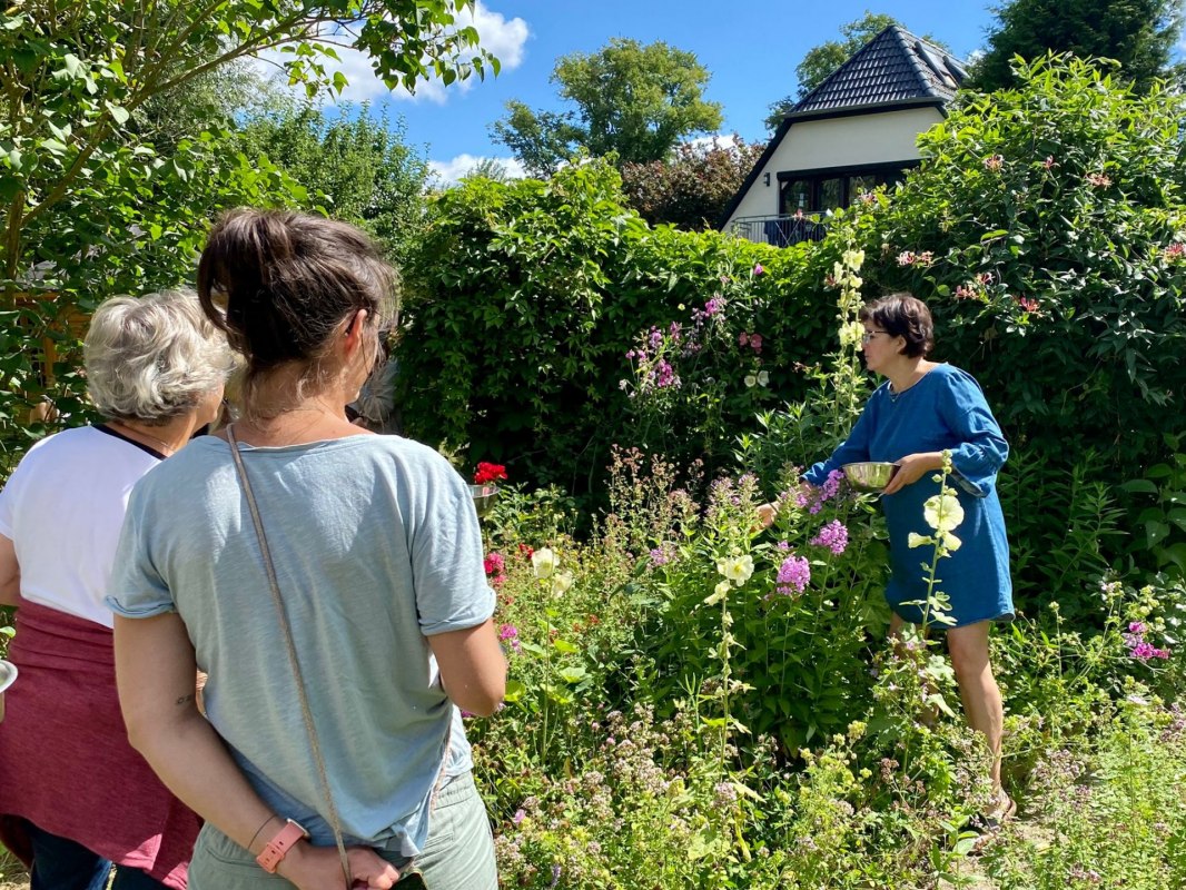 Kr&auml;uterwanderungen@Britta_Daedelow-Seydl, &copy; Britta_Daedelow-Seydl