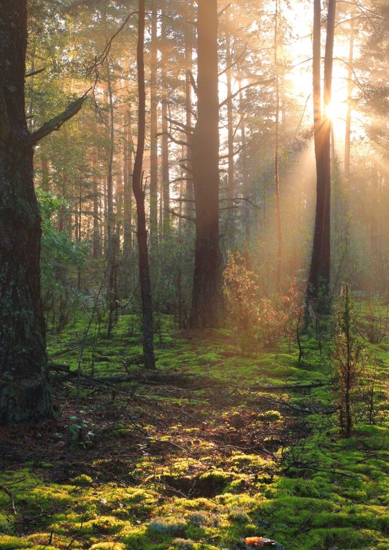 Tijd om diep adem te halen // &copy; Christina Blohm