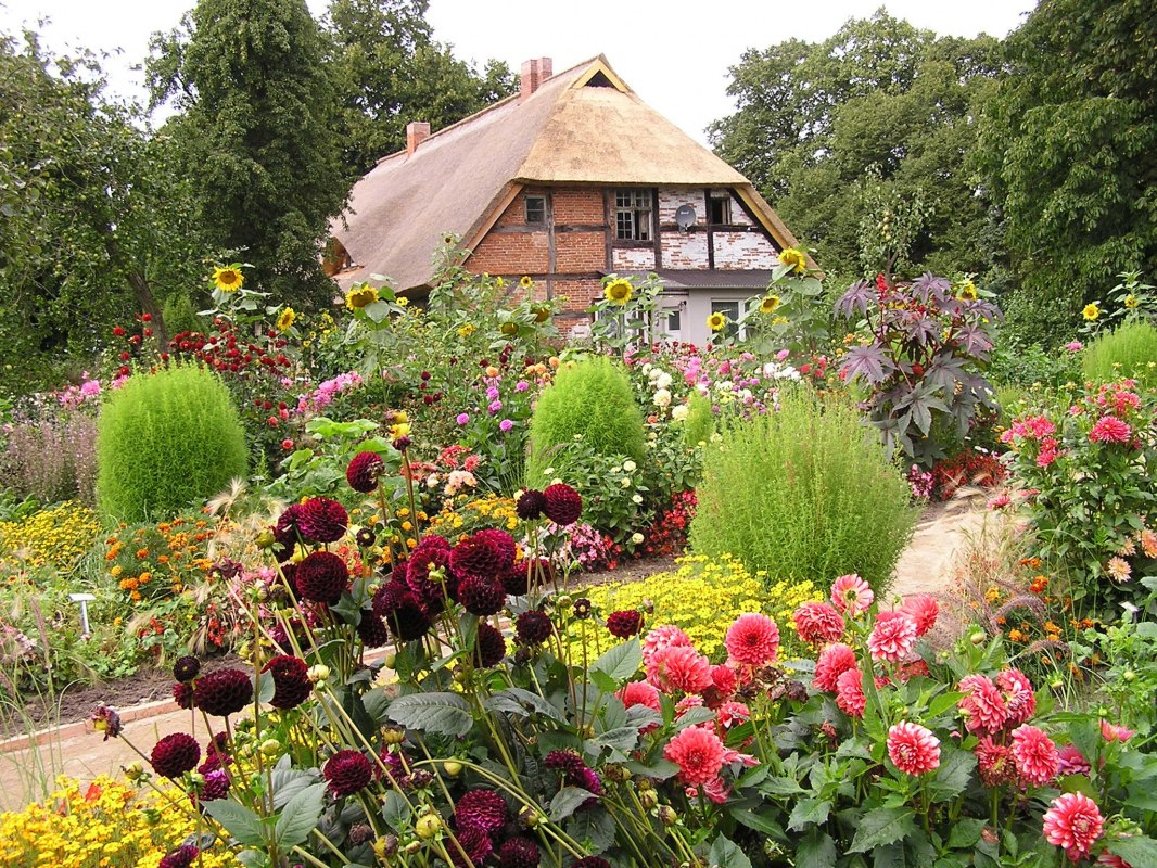 pfarrhaus-mit-dahlien, &copy; Gerd Albrecht