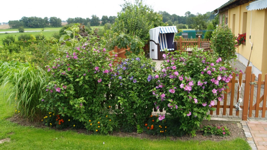 Przytulny taras zachęca do relaksu, © Dinserhof Przytulny taras zachęca do relaksu, © Dinserhof