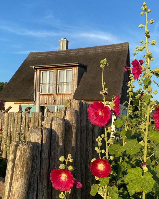 View from the garden, © Franzi Neubauer