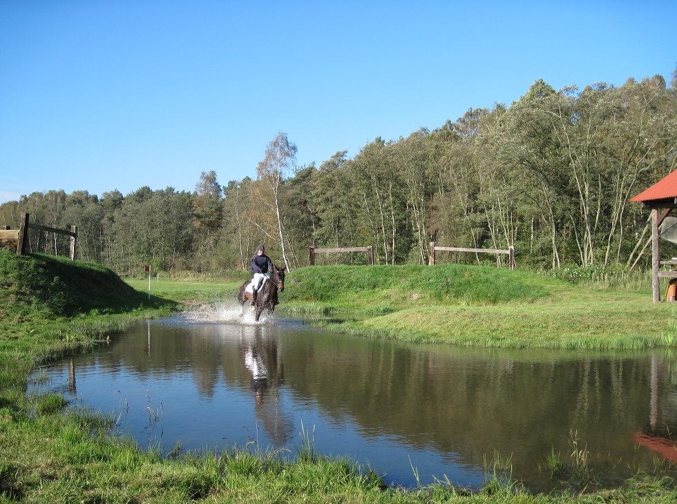 Consulant in water, &copy; Trakehnerhof Valluhn