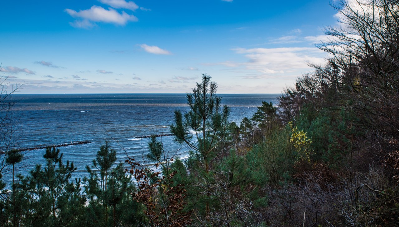 Wędrówka z nadleśniczym, © insel-fotograf.eu, Andreas Dumke