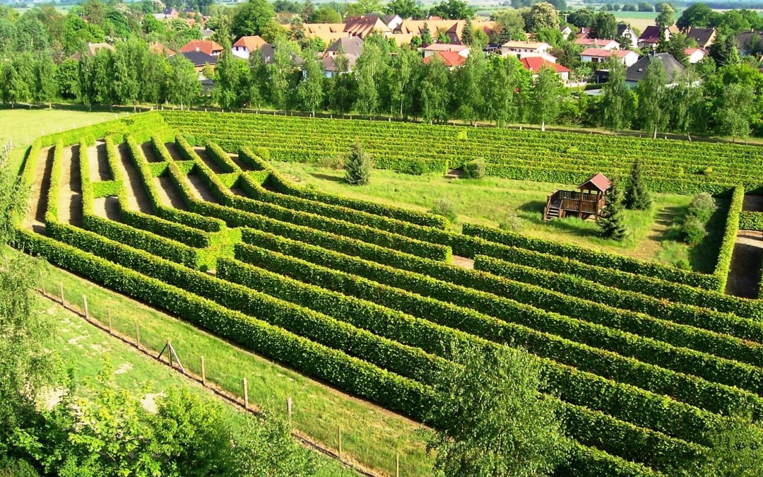 Maze at the Waldeck in Dargun, © Stadt Dargun