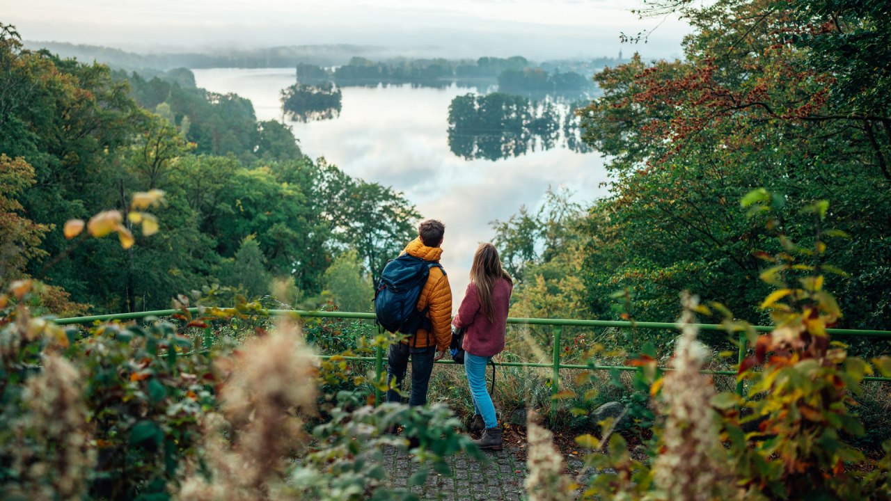 &copy; TMV/G&auml;nsicke