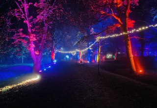 Zoutmuseum Lichtfestival 2024, © Stephanie Walther