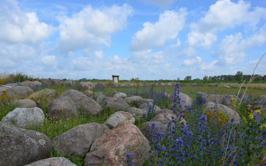 Ogr&oacute;d głaz&oacute;w narzutowych Carwitz, &copy; Kurverwaltung FSL