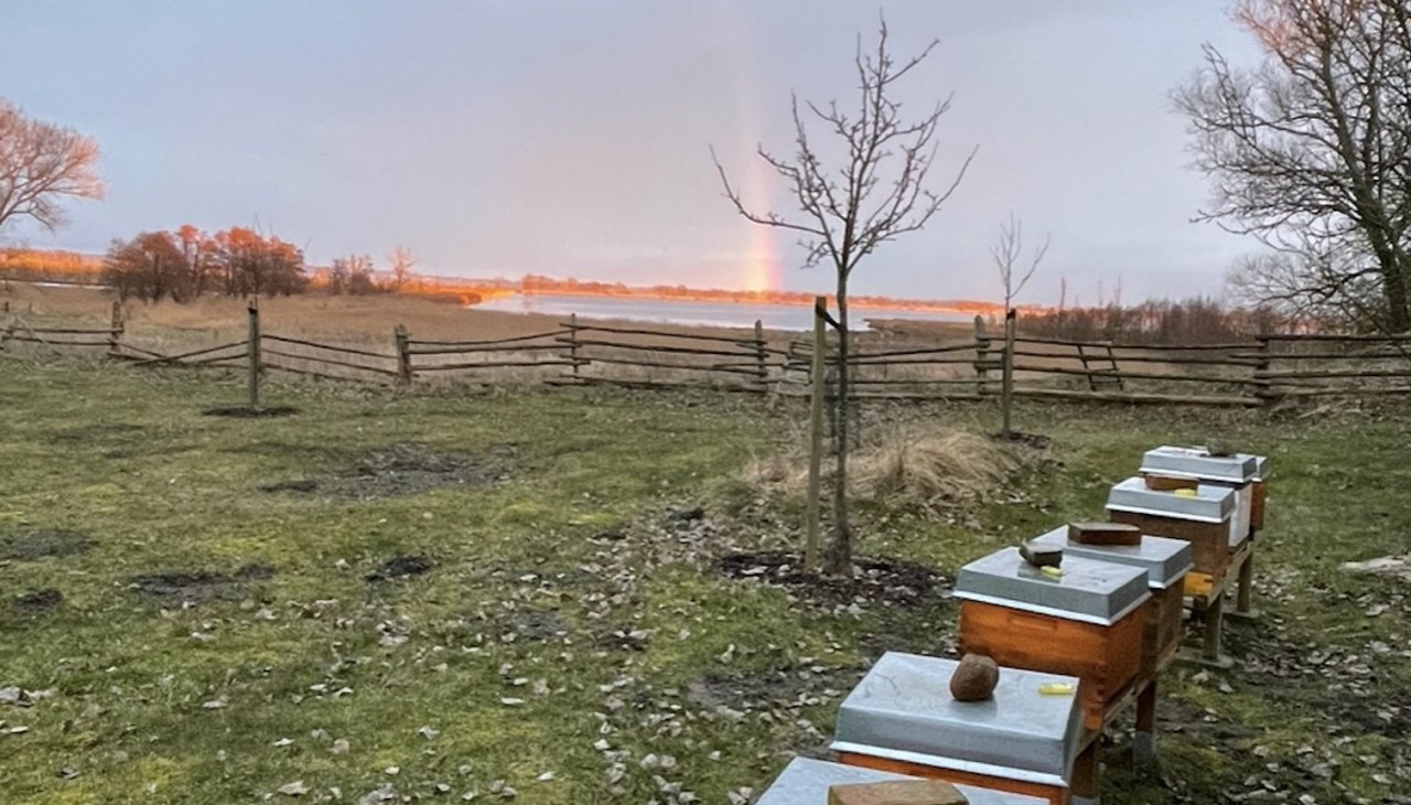 Poranna atmosfera na wrzosowisku, © Peter Wittenberg