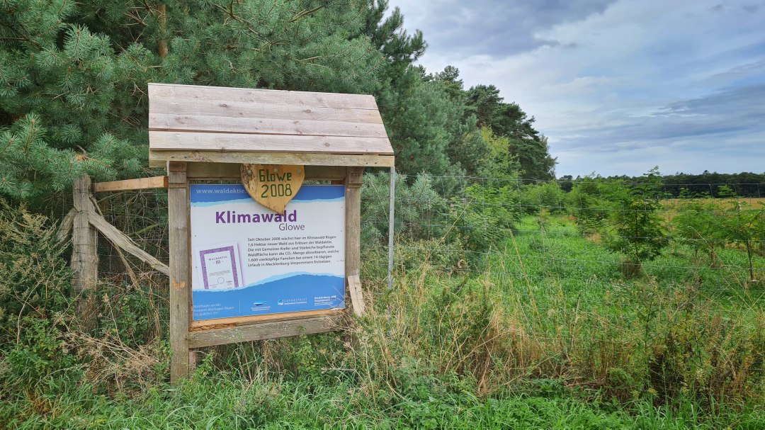 Leśna tablica informacyjna o klimacie Glowe, © Landesforst MV
