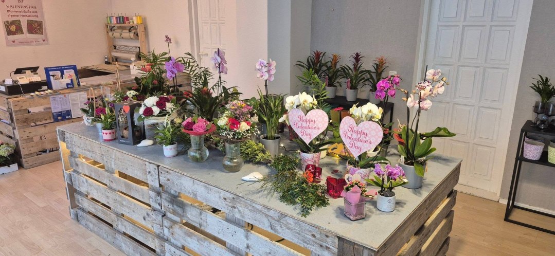 477209475_122125798250604554_9108553194476278809_n, © Blumen & Mehr Barth 477209475_122125798250604554_9108553194476278809_n, © Blumen & Mehr Barth