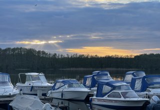 © Familie Stegemann © Familie Stegemann