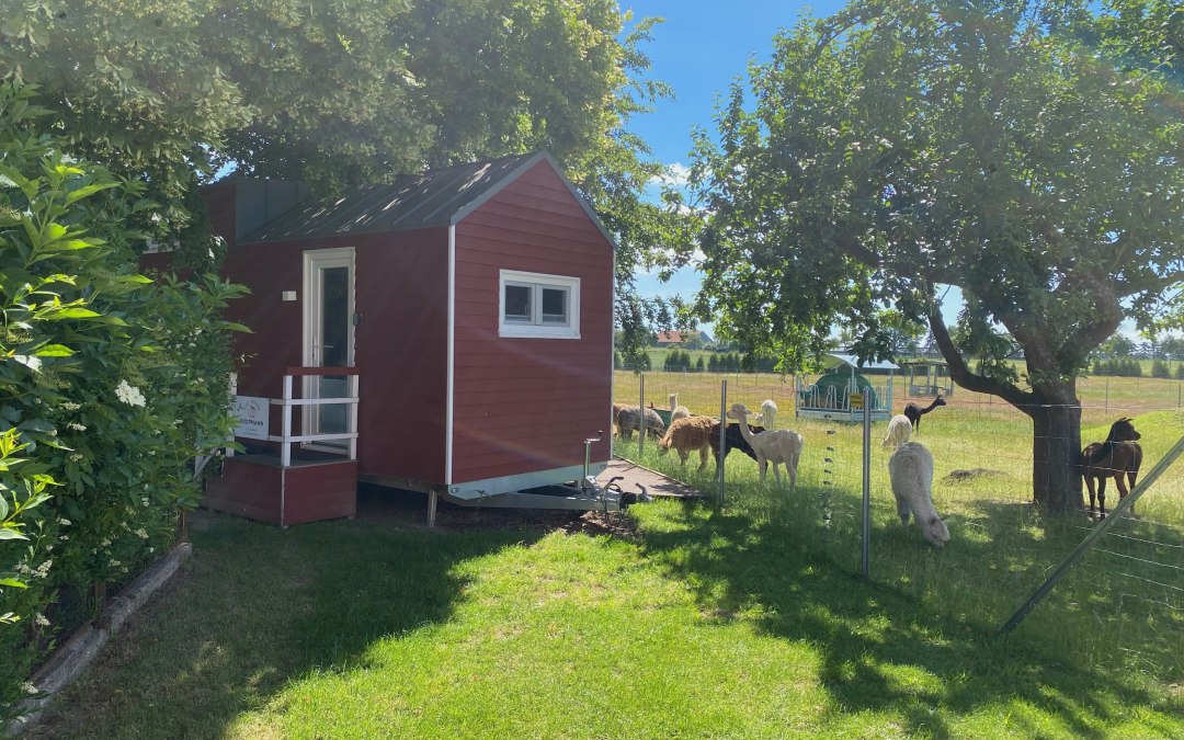 Tiny house with a view of the alpacas, © Alpaka Idylle