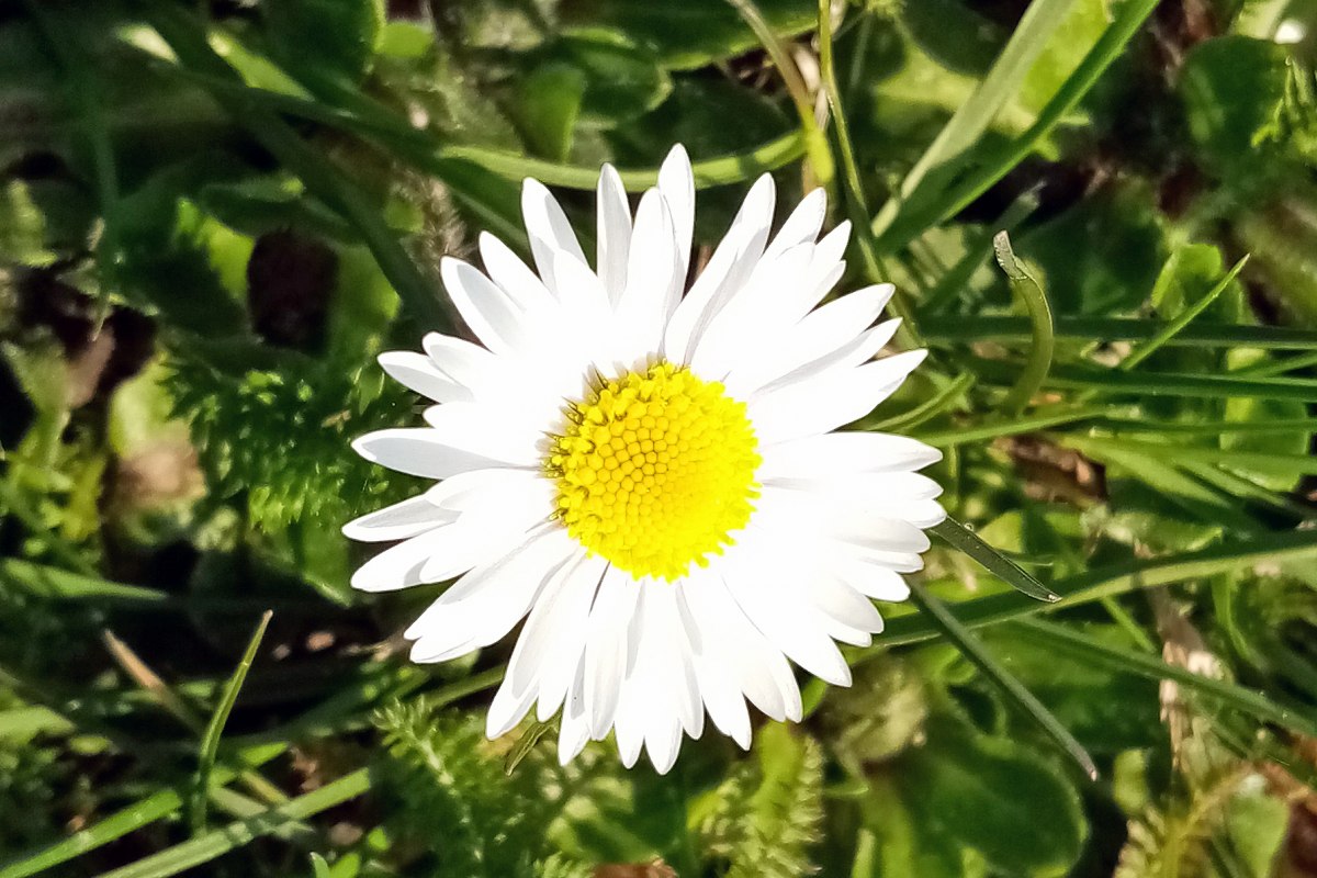 &copy; IGA Park Rostock