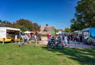 De zomermarkt van Ahrenshoop nodigt je uit om te snuffelen en te genieten in een ontspannen sfeer. Tussen traditionele rietgedekte huisjes presenteren regionale handelaren een breed scala aan producten op hun trailers - van verse bakkerswaren tot biologische lekkernijen. Op de foto zie je de levendige drukte buiten, waar bezoekers op de fiets aankomen en aan kleine tafeltjes blijven hangen om de typische flair van de Oostzeeregio te ervaren. // © Fa. Voigt & Kranz UG, Prerow De zomermarkt van Ahrenshoop nodigt je uit om te snuffelen en te genieten in een ontspannen sfeer. Tussen traditionele rietgedekte huisjes presenteren regionale handelaren een breed scala aan producten op hun trailers - van verse bakkerswaren tot biologische lekkernijen. Op de foto zie je de levendige drukte buiten, waar bezoekers op de fiets aankomen en aan kleine tafeltjes blijven hangen om de typische flair van de Oostzeeregio te ervaren. // © Fa. Voigt & Kranz UG, Prerow