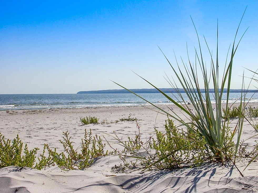Plaża // &copy; Freizeitcamp Am Wasser