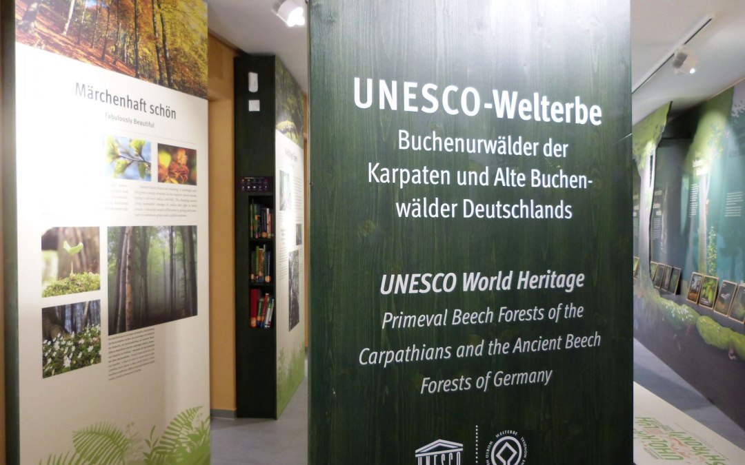 Tentoonstelling van het UNESCO Werelderfgoed Forum, waar bezoekers onder andere meer te weten kunnen komen over oude beukenbossen, © Gesine Häfner / Nationalpark-Zentrum KÖNIGSSTUHL