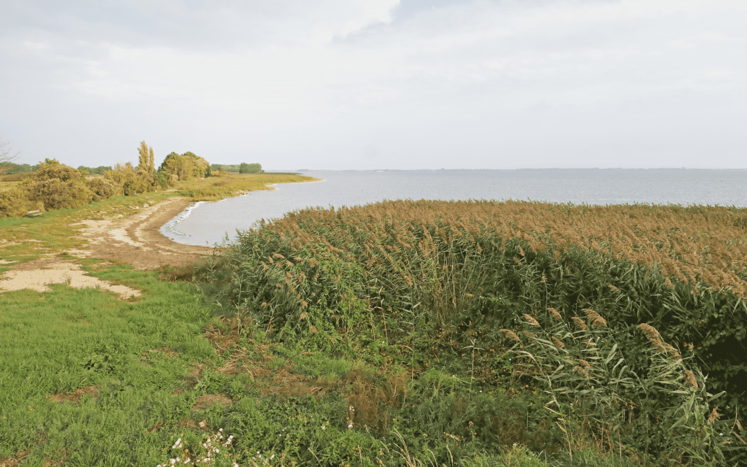 Dostęp do wody, © TMV/Gohlke