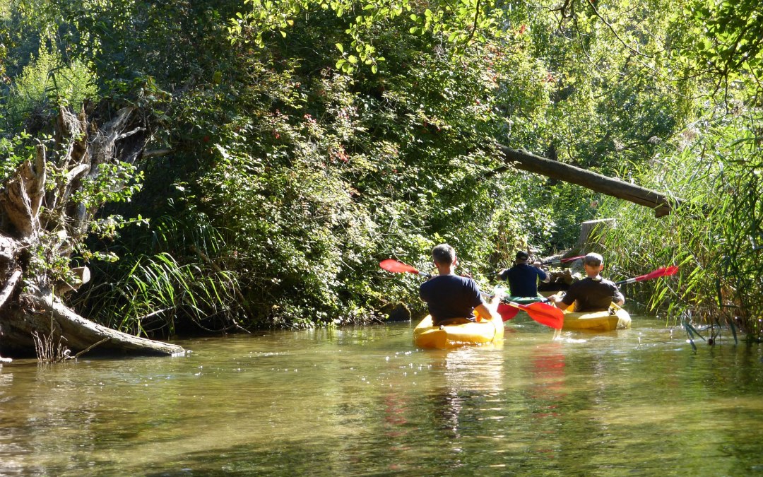 Peddelen op de Mildenitz, © Kanucamp Borkow