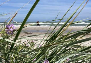 &copy; Nationalparkamt Vorpommern