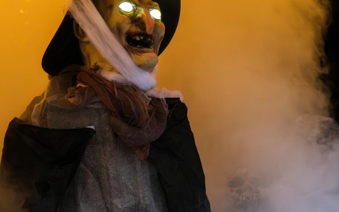 Dark Munkel Party, © Zoo Schwerin