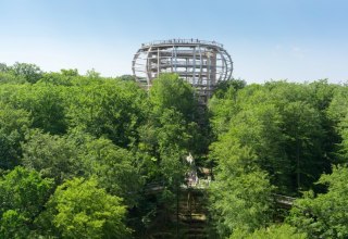 Der Baumwipfelpfad mit dem Aussichtsturm &bdquo;Adlerhorst&ldquo; liegt inmitten eines Buchenwaldes in Prora auf der Insel R&uuml;gen. // &copy; Erlebnis Akademie AG / Naturerbe Zentrum R&uuml;gen