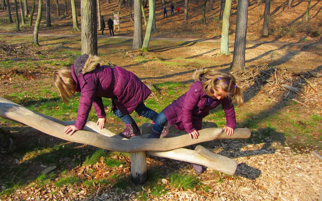 Play element on the forest adventure trail