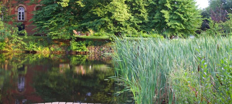 &copy; Antonia Jacobsen