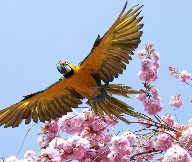 &copy; Archiv Zoo Stralsund