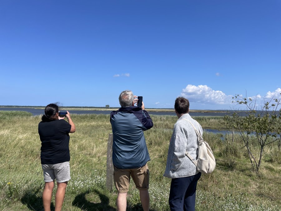 IMG_7282, &copy; TZ S&uuml;dliche Boddenk&uuml;ste