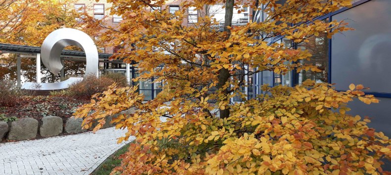 Rzeźba "Krzywa życia" autorstwa Klausa-Joachima Alberta w ogrodzie na dziedzińcu szpitala Krankenhaus am Sund, © Angela Pfennig