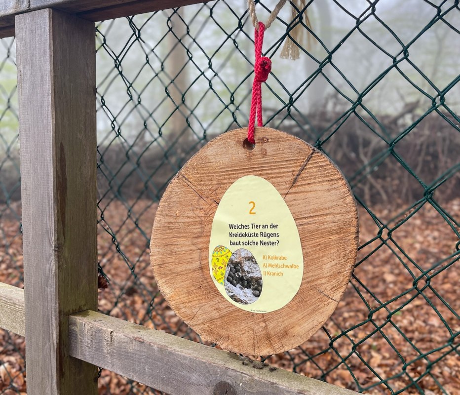 IMG_2195, &copy; Nationalpark-Zentrum K&Ouml;NIGSSTUHL