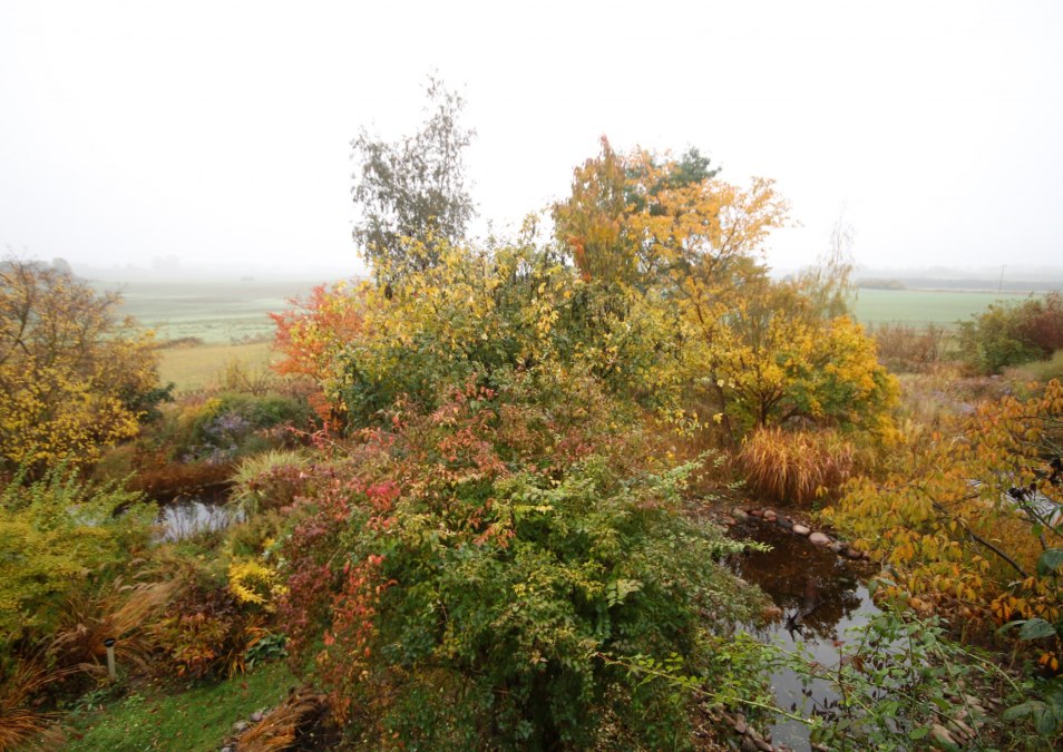 Jesień - gra kolorów, © Claus Gering