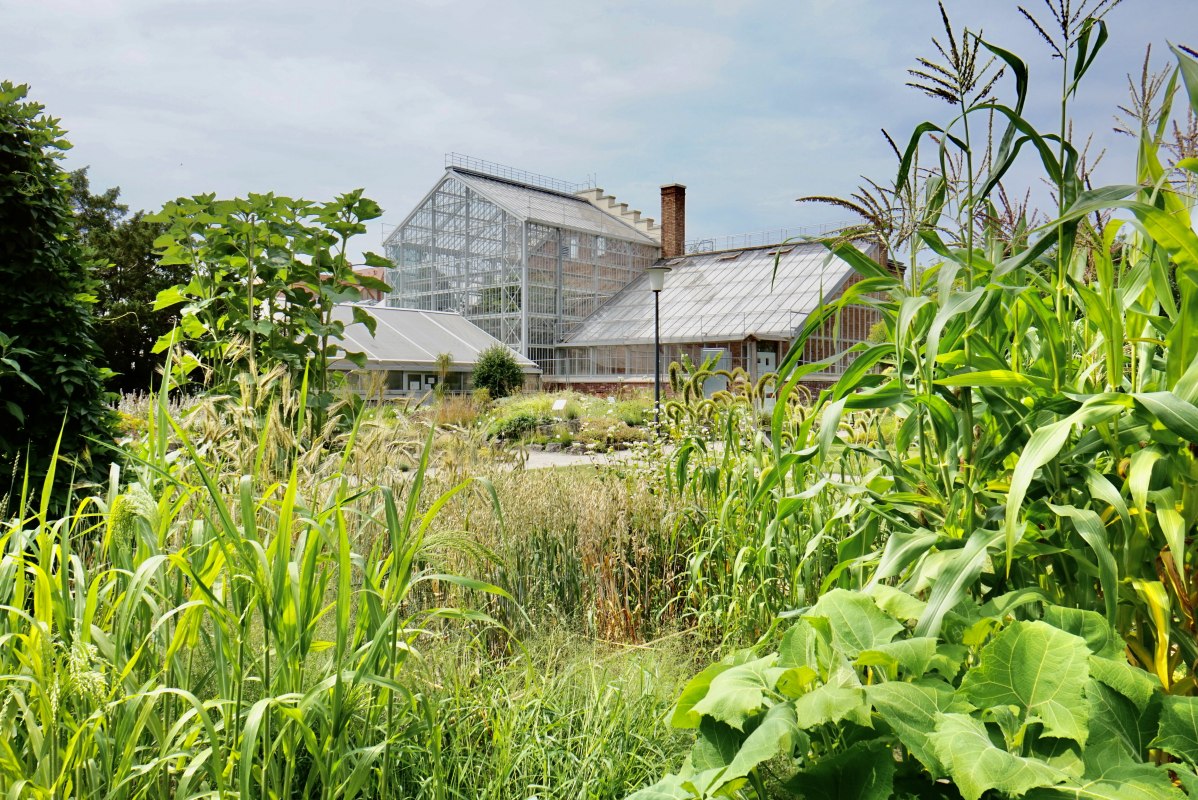 Ogr&oacute;d botaniczny, &copy; Gudrun Koch