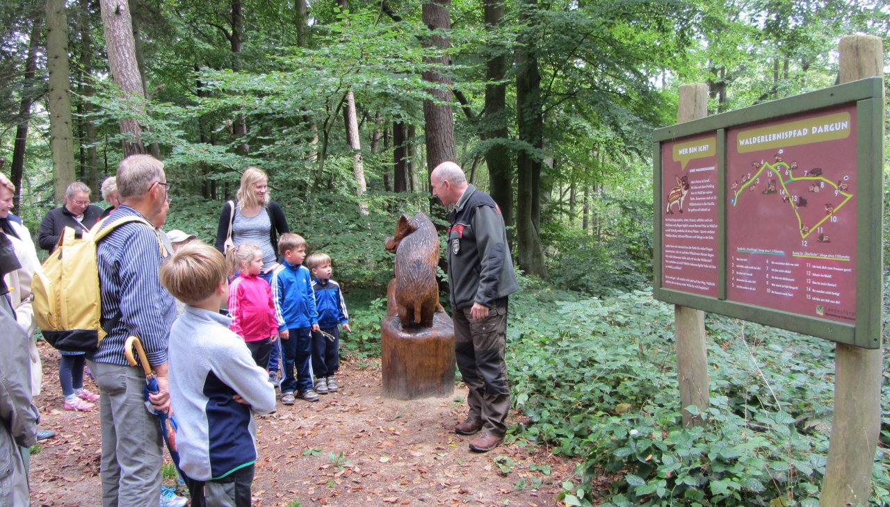 Forestry office tours the forest