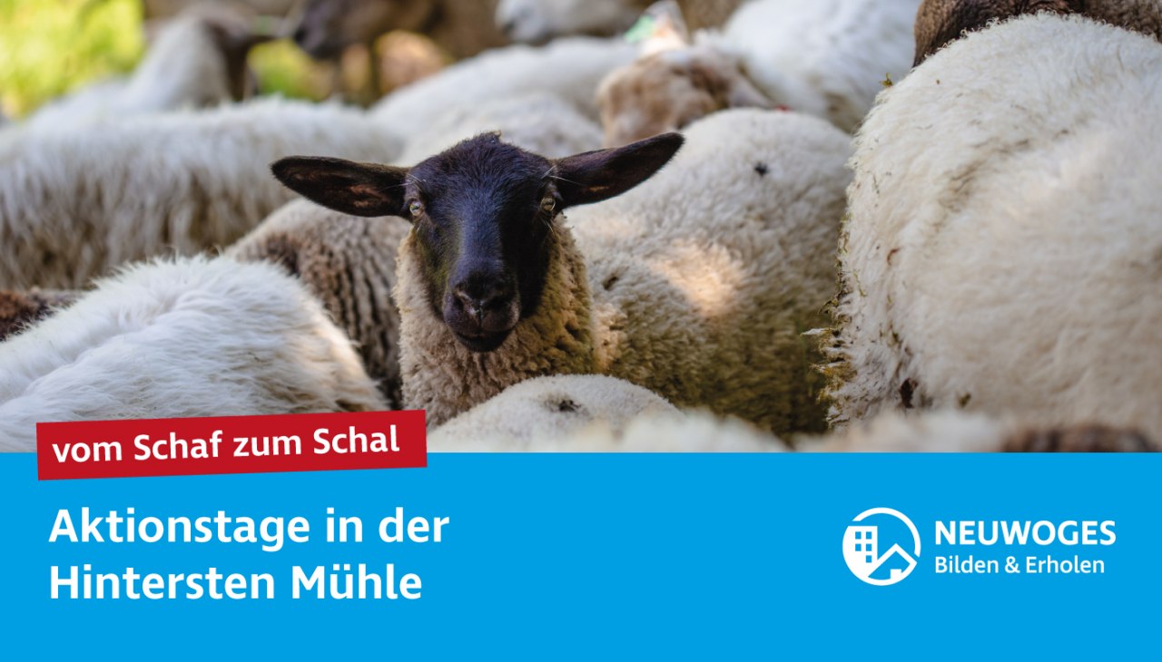 neuw-group_external-coming_to_animal_home_action-days-24-from-sheep-to-sheep, &copy; Neuwoges