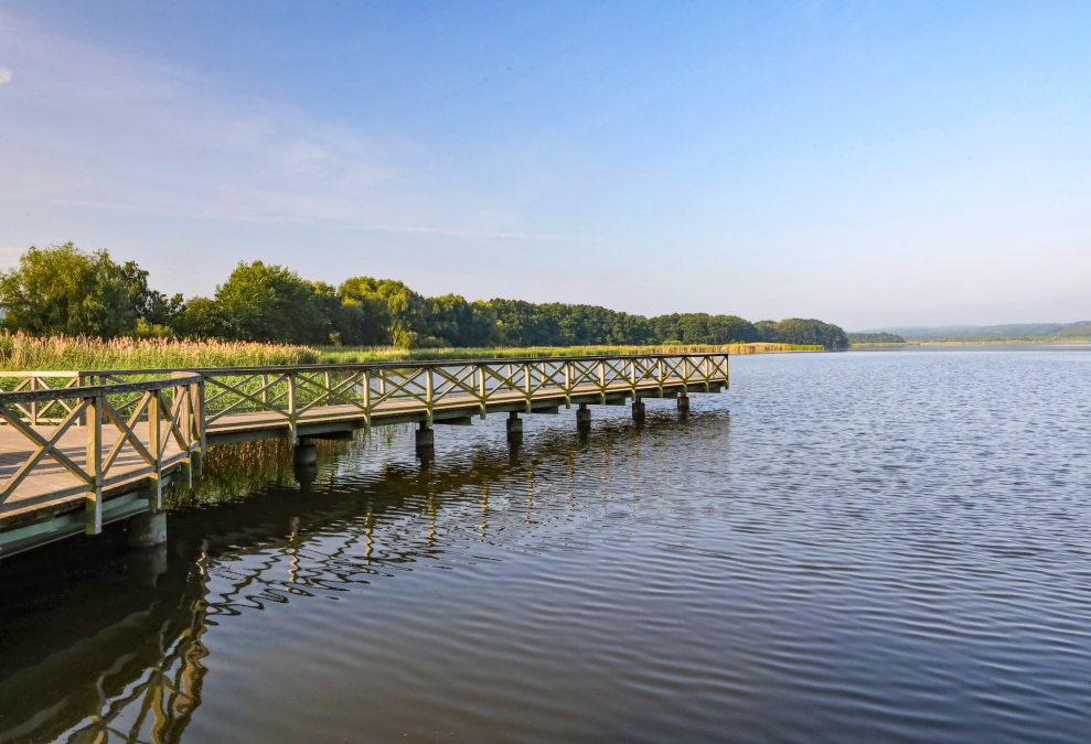 park-am-schmachter-see_2, © TMV/Gohlke