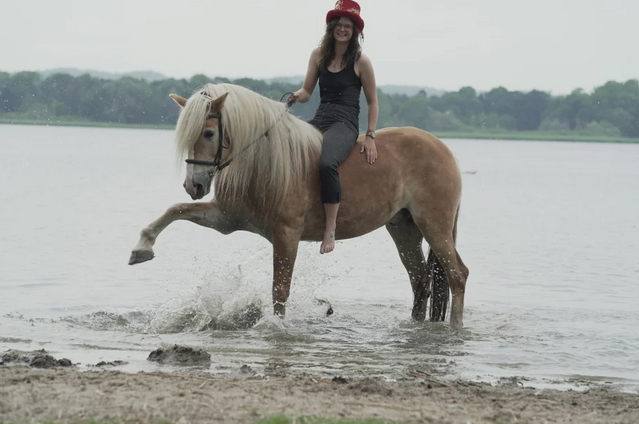 &copy; Hof Wunderland