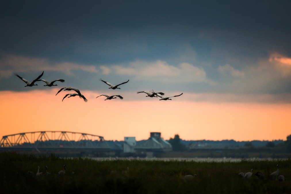 kranen-voor-de-meiningen-brug, &copy; Arndt Gl&auml;ser