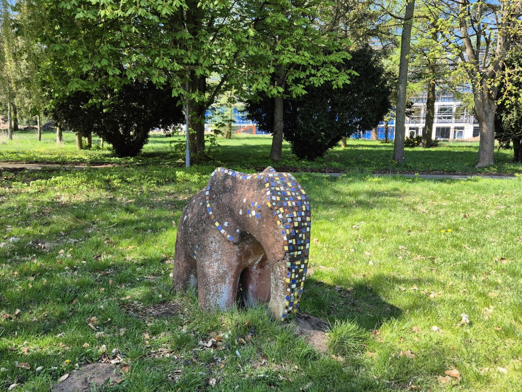 20250420_132003, &copy; Gina Schulenberg