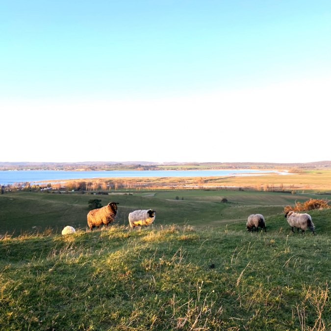 Siedliska, © KV Mönchgut