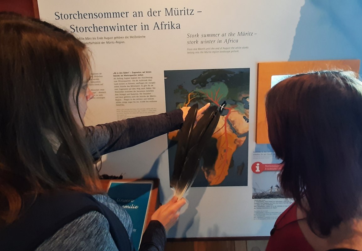 © Müritzeum © Müritzeum