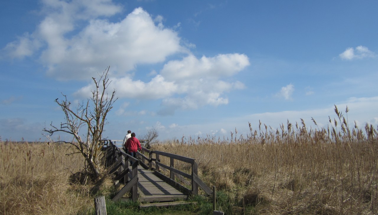 Steiger in Barhöft, © L. Zust Steiger in Barhöft, © L. Zust