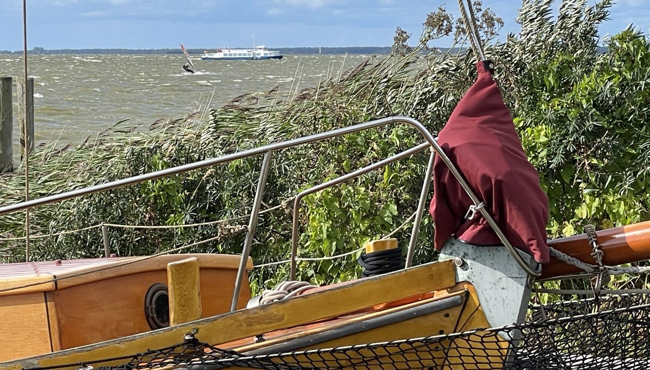 IMG_3663, © TZ Südliche Boddenküste