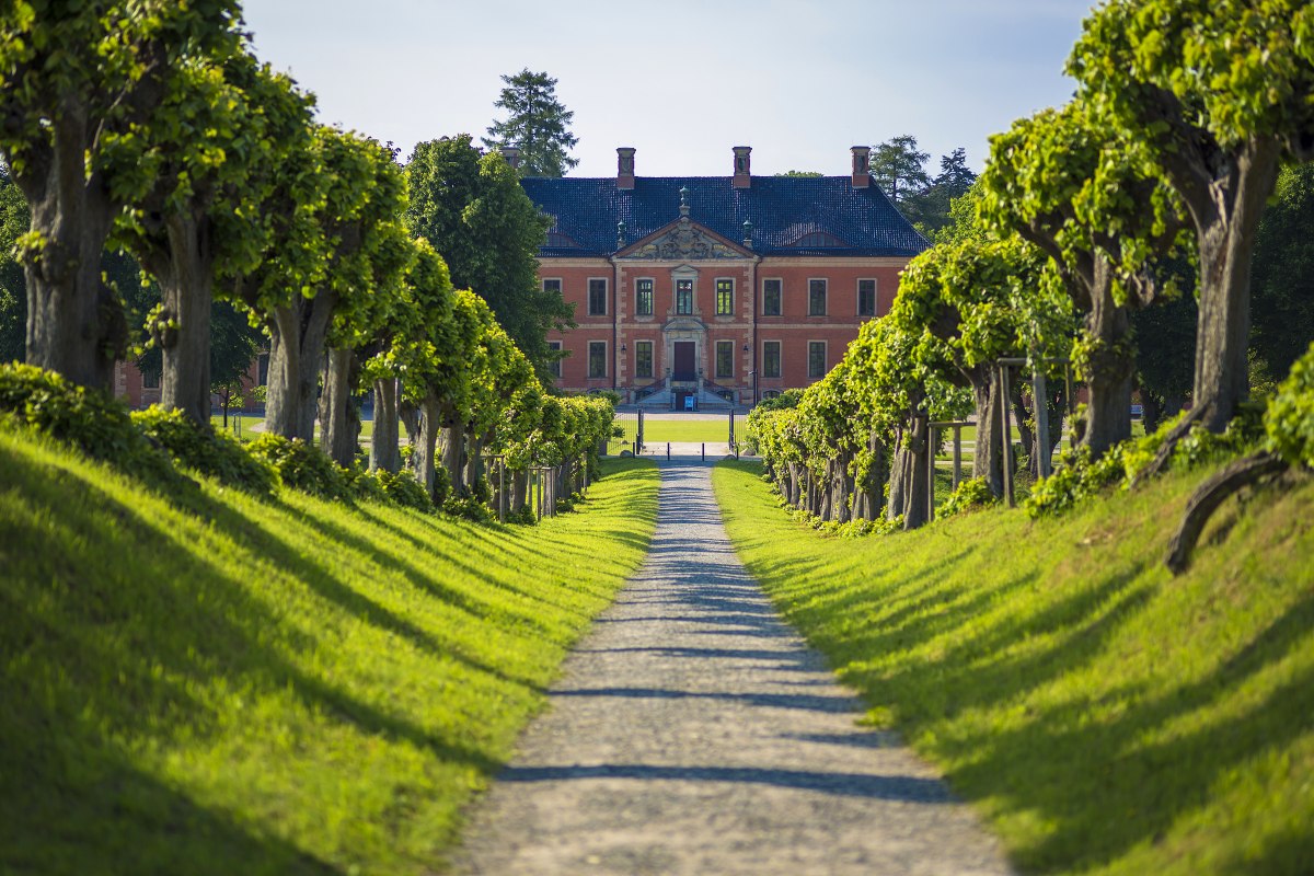 Festonallee naar kasteel Bothmer // © SSGK MV / Timm Allrich Festonallee naar kasteel Bothmer // © SSGK MV / Timm Allrich