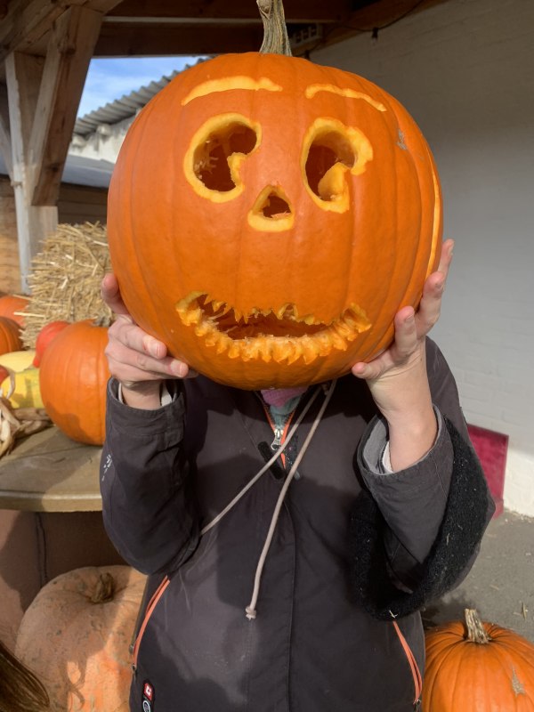 Pumpkin Carving at Gut Marihn // © N.M. Pumpkin Carving at Gut Marihn // © N.M.