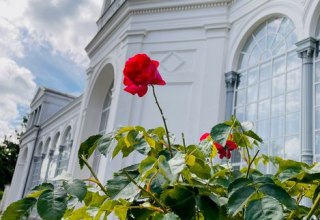 &copy; Putbus