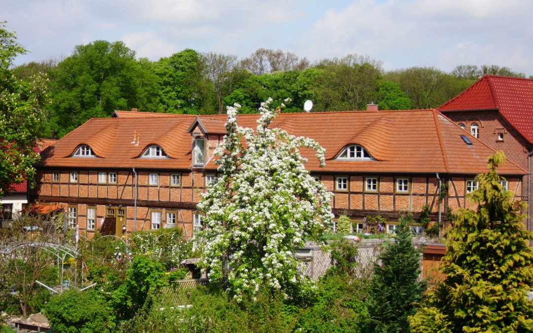 DSCI0061, © M.Höppner