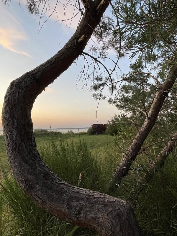 © TZ Südliche Boddenküste © TZ Südliche Boddenküste