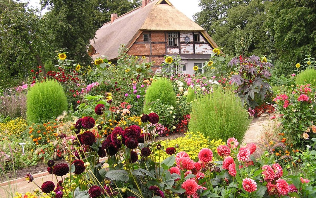 pfarrhaus-mit-dahlien, © Backstein Geist und Garten e.V.