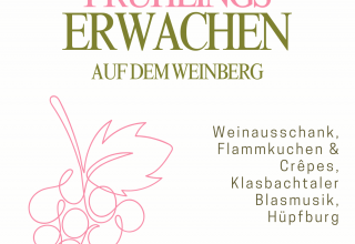Plakat Fr&uuml;hlingserwachen // &copy; Juliane D&auml;hn